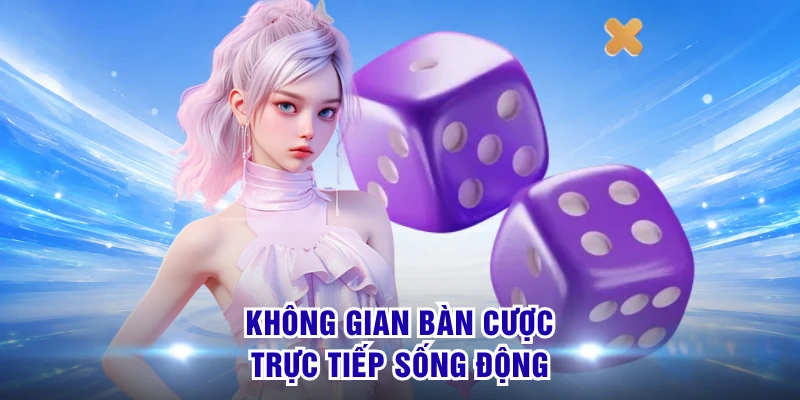 Xóc Đĩa S8 - Bàn Cược Livestream 4K, Tỷ Lệ Ăn 1 Ăn 12 1 Không gian bàn cược trực tiếp sống động
